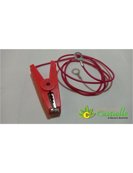 cavetto rosso