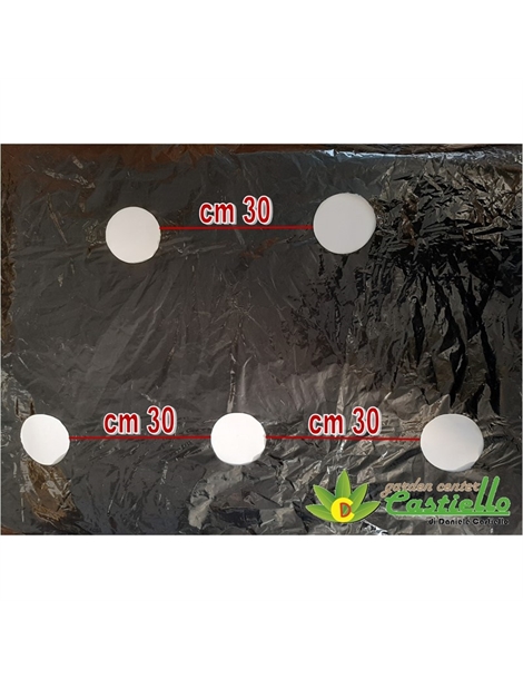 PLASTICA DOPPIO FORO SFALZATO CM30X30