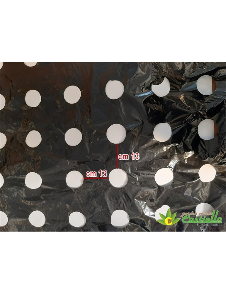 Plastica nera per pacciamatura 6 fori cm 13x13 cipolle e verdure