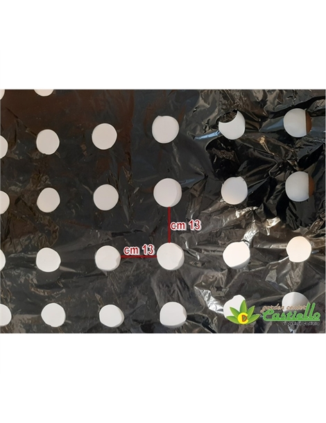 PLASTICA 7 FORI CM13X13