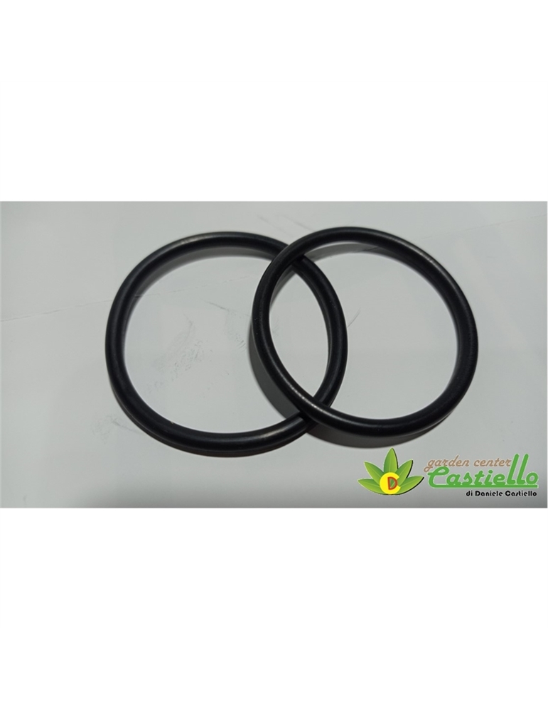 O-Ring Motore per scuotiolive Twist AIMA