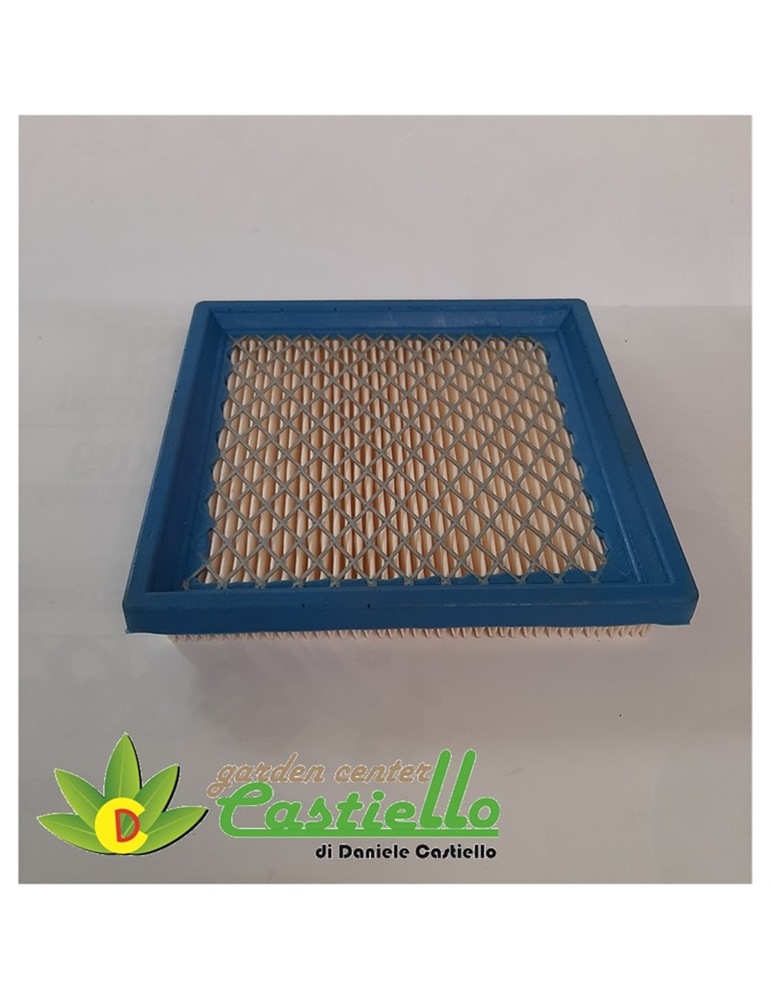 Filtro aria per motore B S 3.5 HP RIF.399