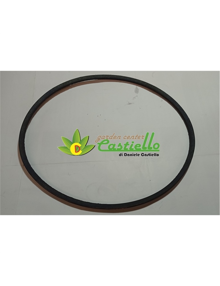 Cinghia SPZ 1047 multifunzione P55 Eurosystem