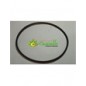 Cinghia SPZ 1047 multifunzione P55 Eurosystem