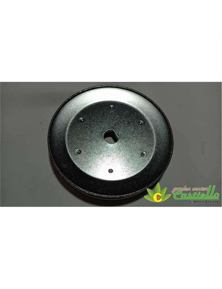 Puleggia rinvio d.135 p55 carry