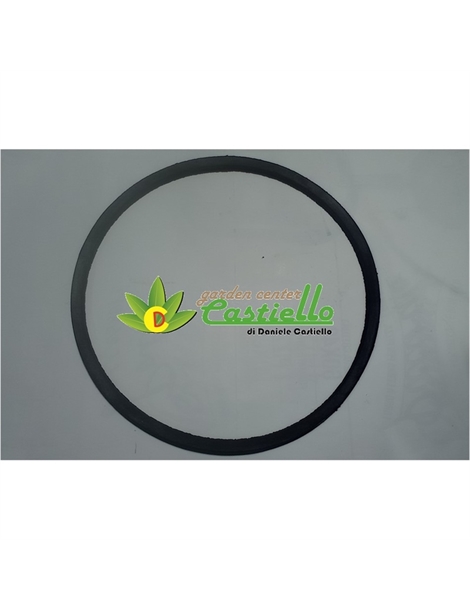 270201832 cinghia