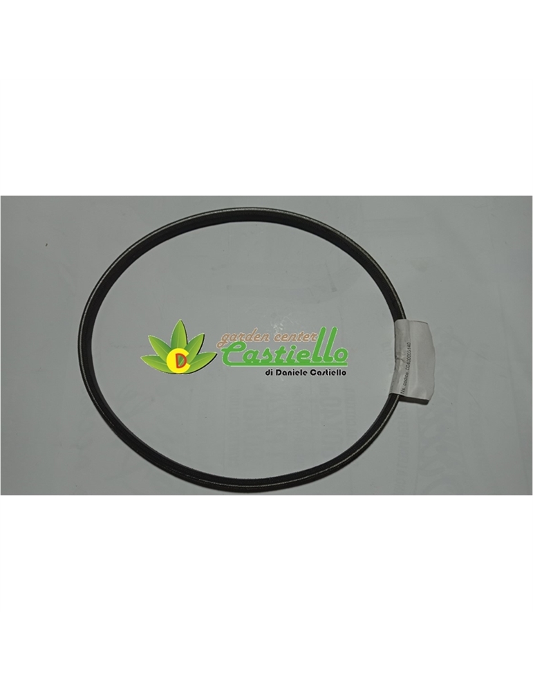 Cinghia secondaria trazione Eurosystems P70 EVO