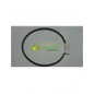 Cinghia secondaria trazione Eurosystems P70 EVO