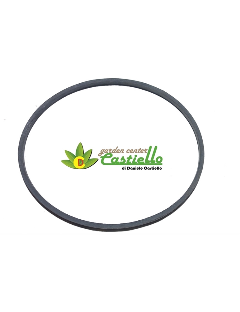 Cinghia falciatrice Eurosystems modelli M200 M210 Bilama 375 e 735