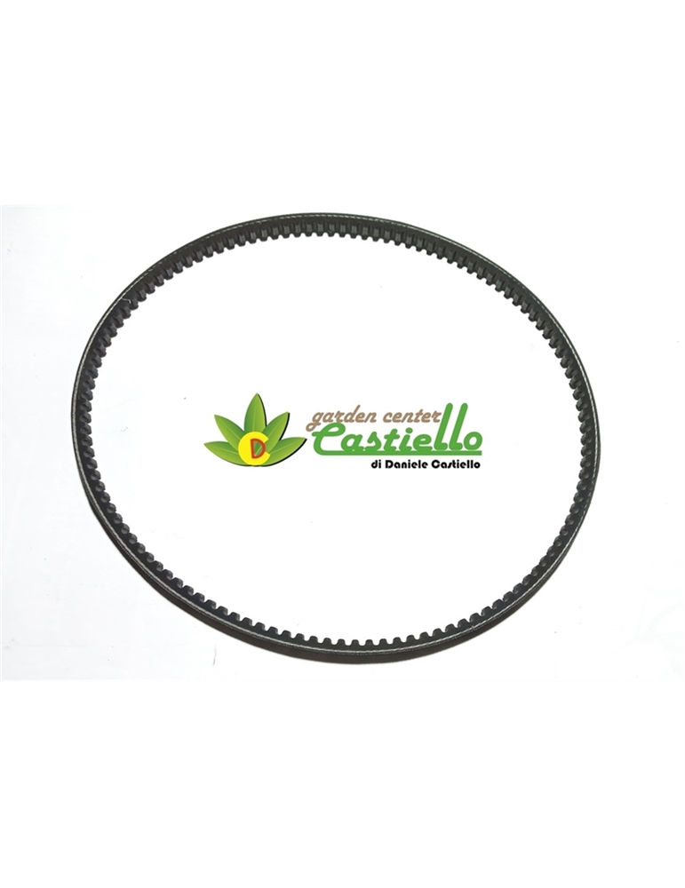 Cinghia trasmissione multifunzione P55 Eurosystems