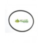 Cinghia trasmissione multifunzione P55 Eurosystems
