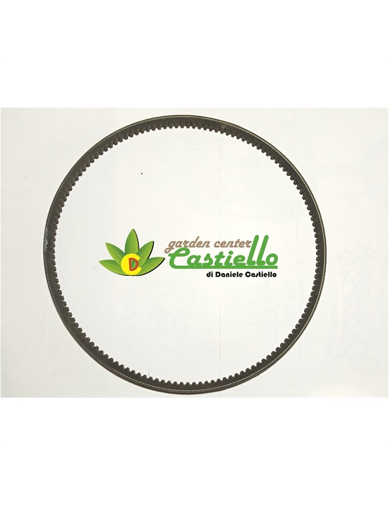 Cinghia trasmissione motocarriola Carry Eurosystems