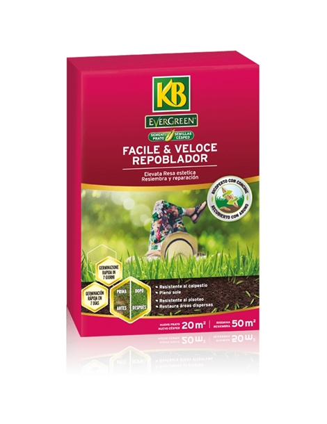 facile e veloce kb