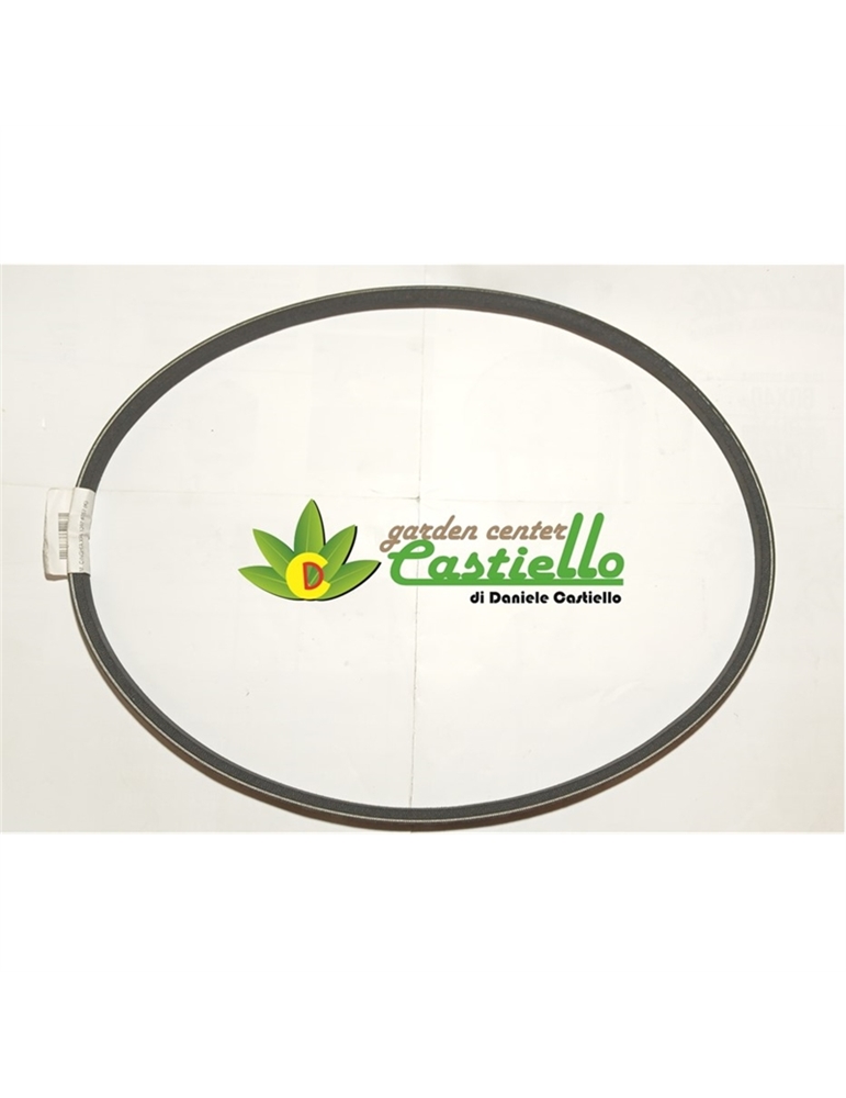 Cinghia trazione primaria  P70 EVO eurosystems cod.341005377