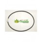 Cinghia trazione primaria  P70 EVO eurosystems cod.341005377