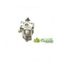 Carburatore 170020467-0001