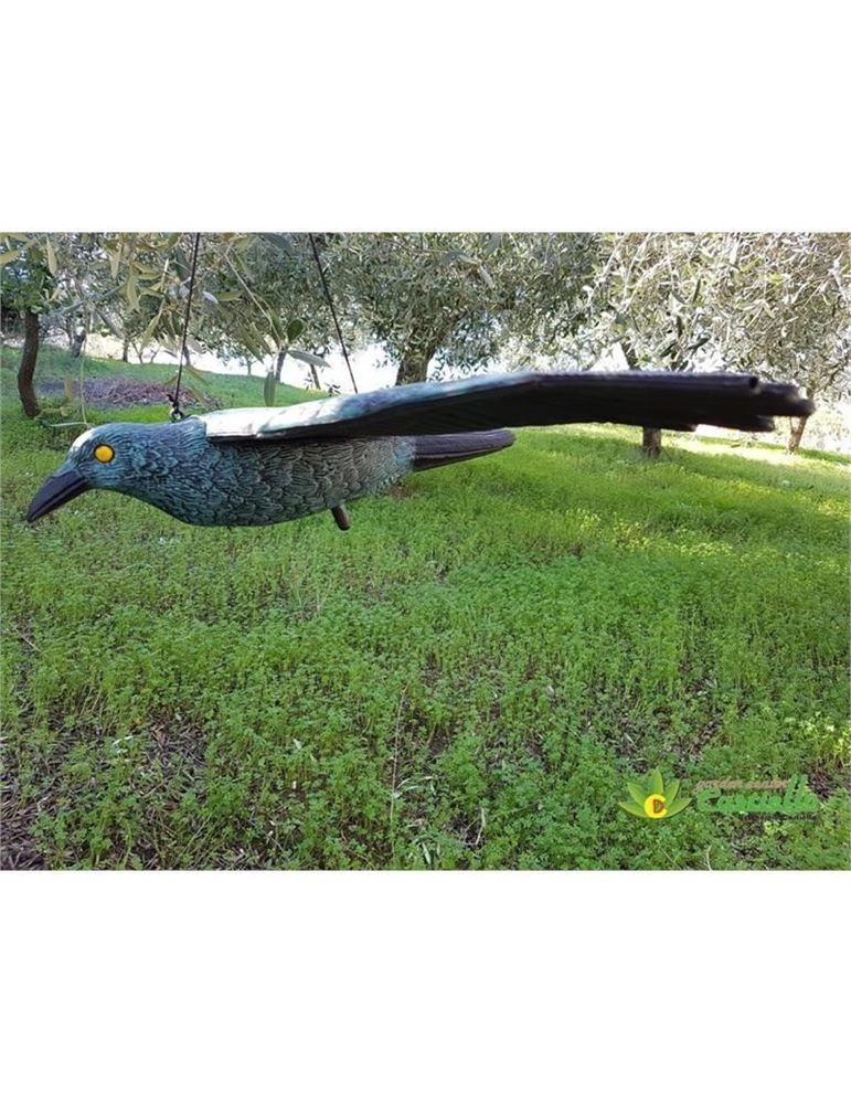 Corvo spaventapasseri volante stocker
