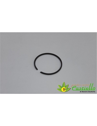 Fascia elastica