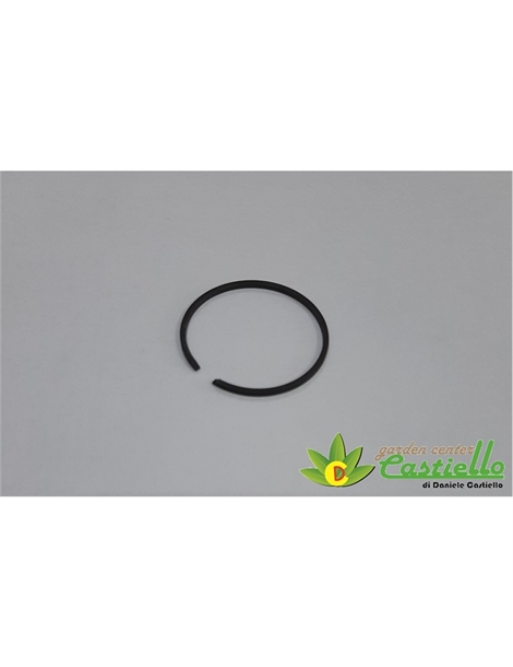 Fascia elastica
