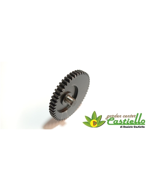 Ingranaggio Z50 con eccentrico biella scuotitore Agrival lisam