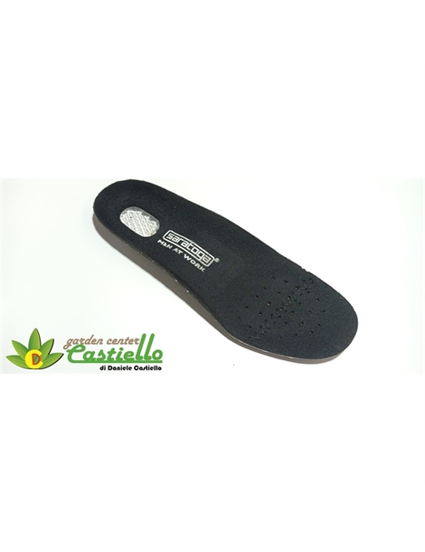 Soletta 41
