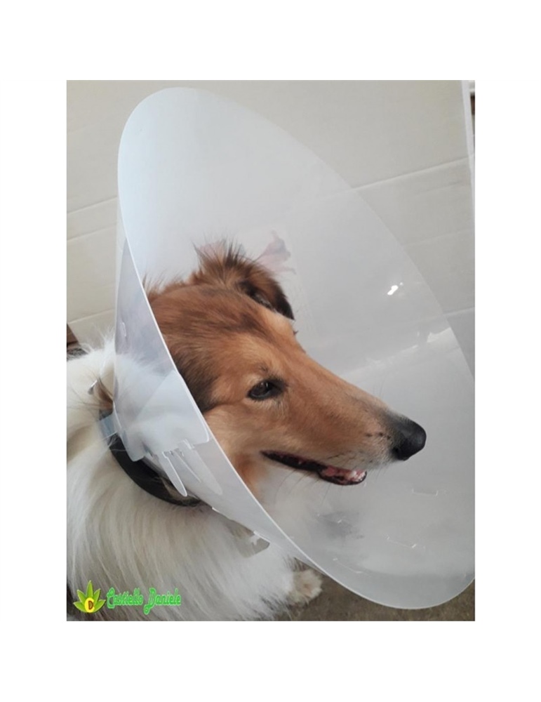 Collare elisabetta antileccamento cm25 diam.15/40cm