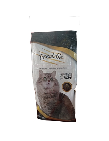 freddy gatto