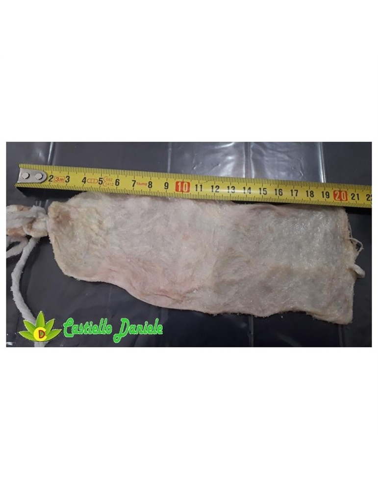 Budello filzetta legata 60/65 22 cm sottovuoto pz10