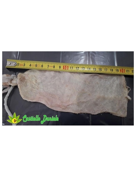 budello filzetta n1