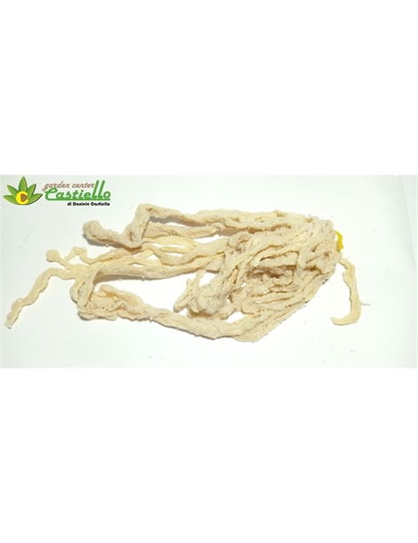budelle dritto e bagetta