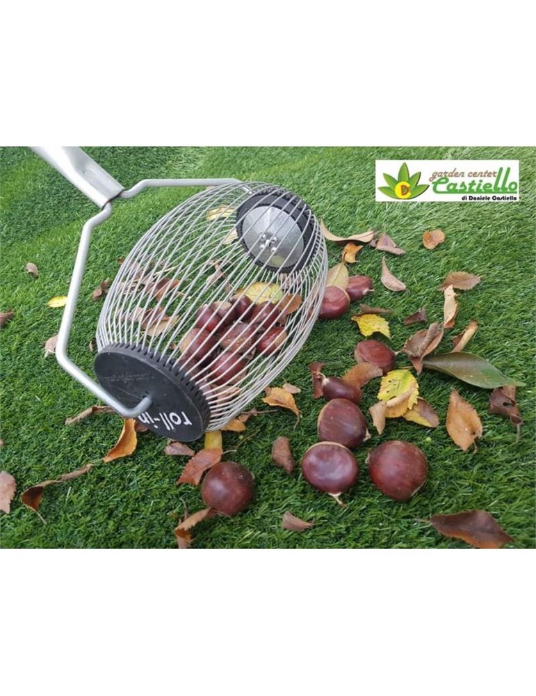Roll-in small raccoglitore noci castagne nocciole,ecc