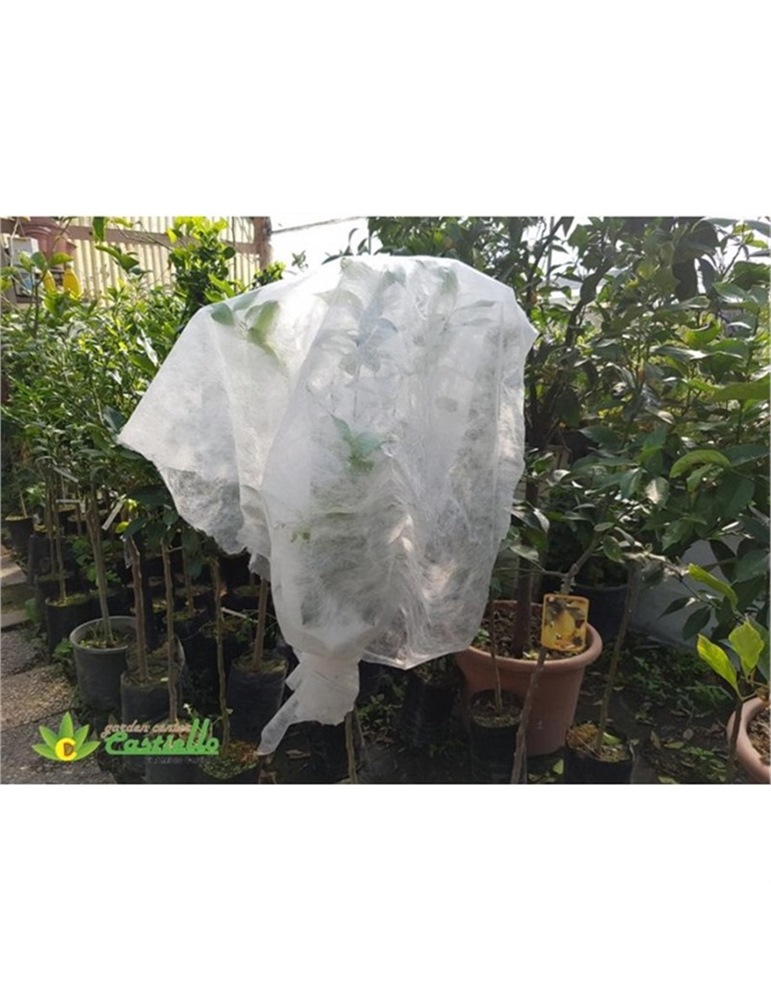 T.N.T tessuto non tessuto agrithermo altezza mt 4