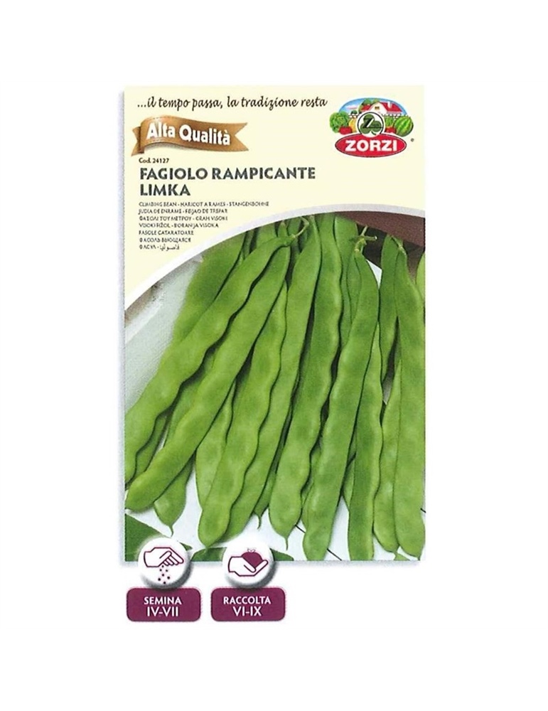 Fagiolo limka rampicante gr 500 HORTUS