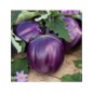 Melenzana violetta di firenze busta piccola hortus gr.2 Melenzana violetta di firenze busta piccola hortus gr.2