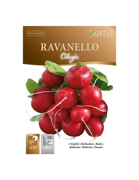 ravanello