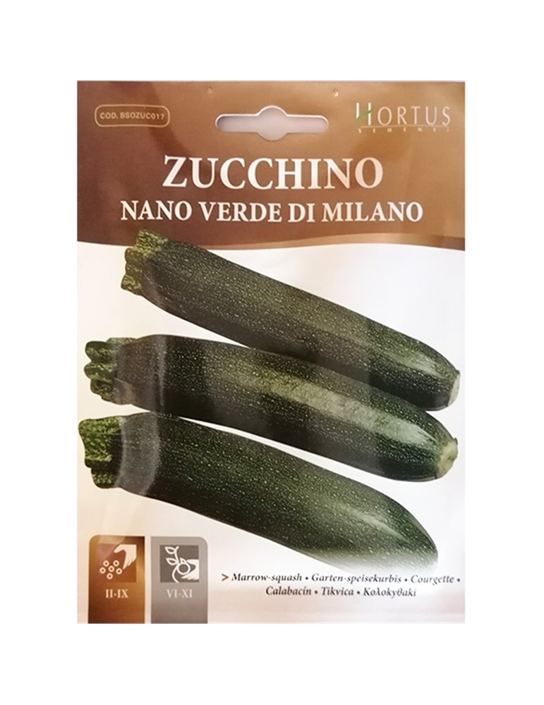 Zucchino nano verde di milano bustina piccola hortus gr 5
