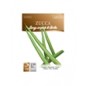 Zucca lunga serpente di sicilia busta piccola hortus gr 4.5