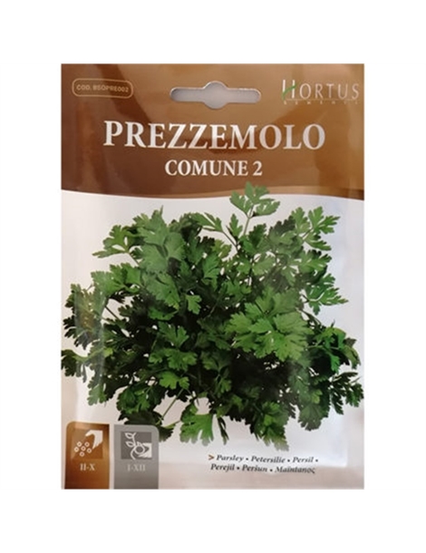 prezzemolo comune 2