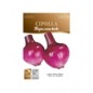 Cipolla tropea rossa tonda busta piccola hortus gr 3.5 Cipolla tropea rossa tonda busta piccola hortus gr 3.5