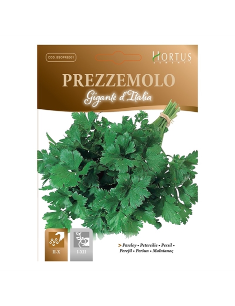 prezzemolo gigante