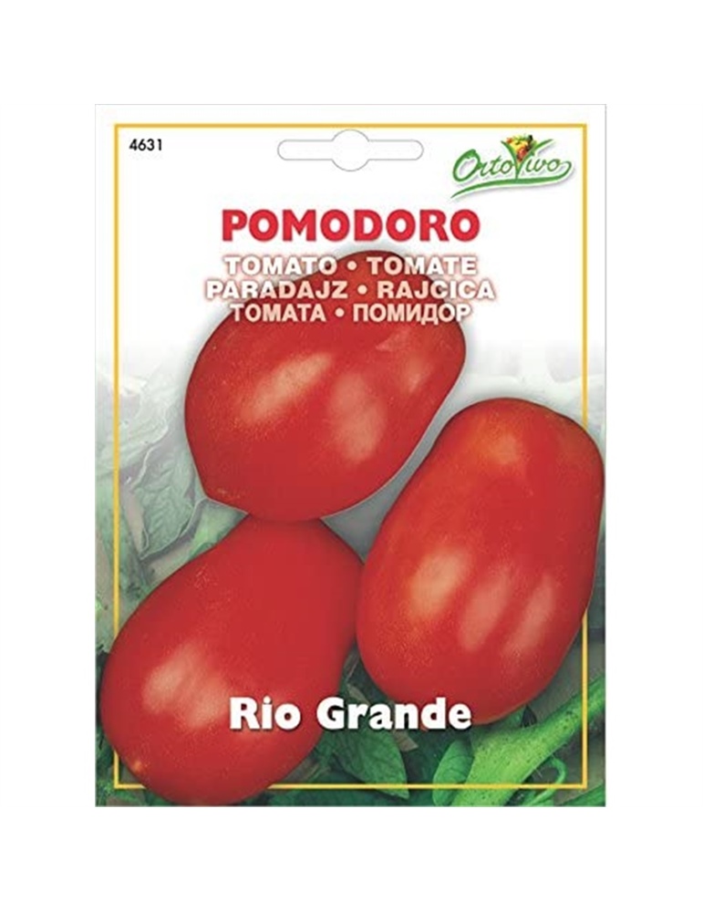 Pomodoro rio grande busta piccola hortus gr.5