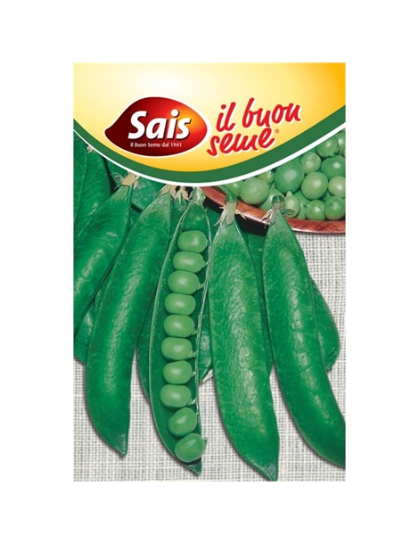 pisello rondo 500 gr
