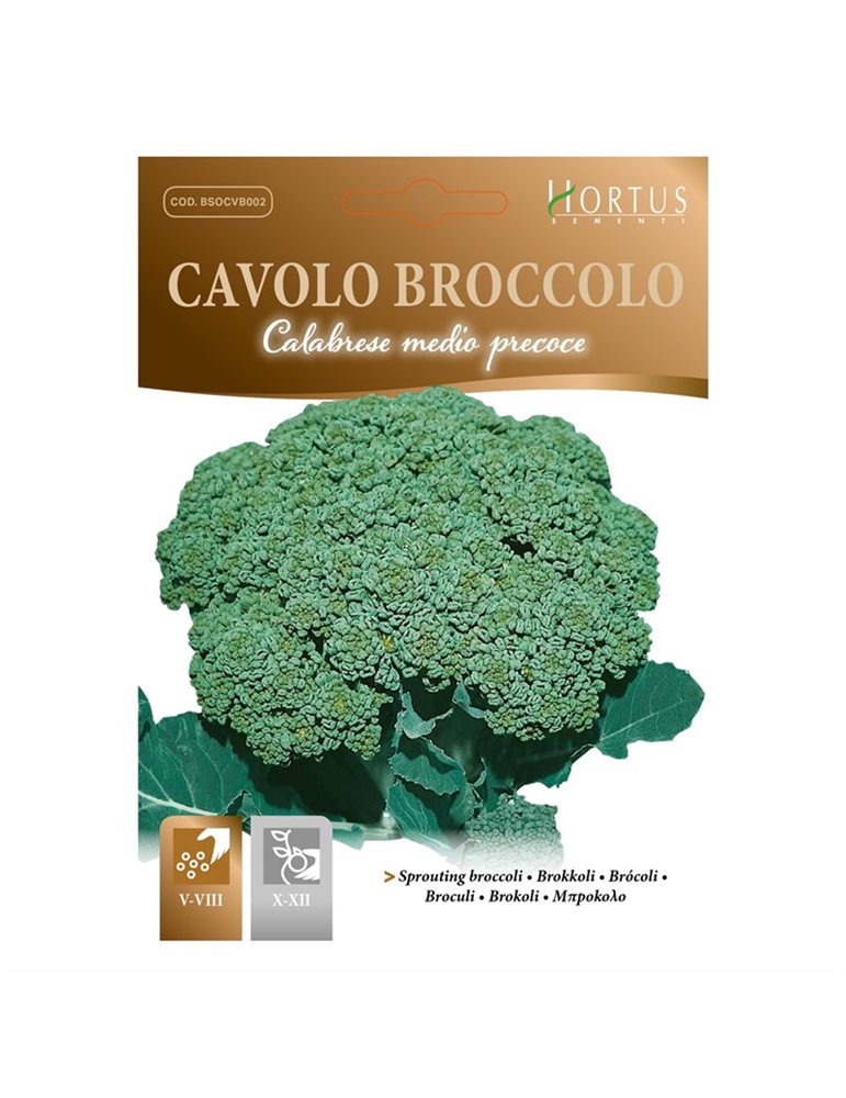 Cavolo calabrese natalino busta piccola hortus gr.5
