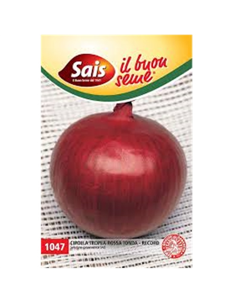 Cipolla tropea rossa tonda