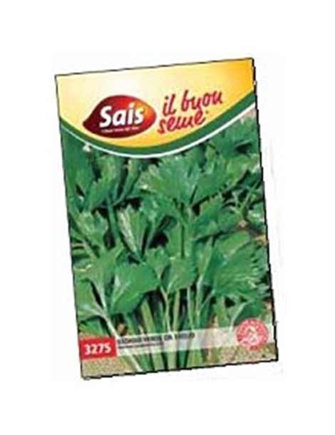 sedano