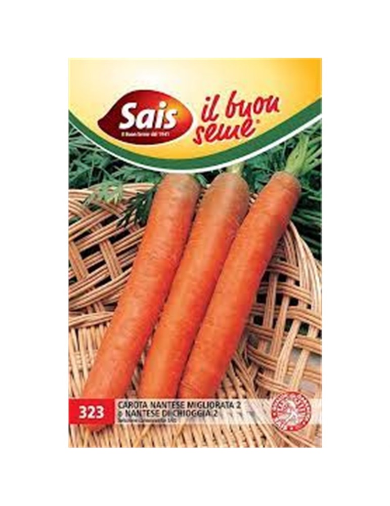 Carota nantese migliorata 2 di ghioggia Carota nantese migliorata 2 di ghioggia