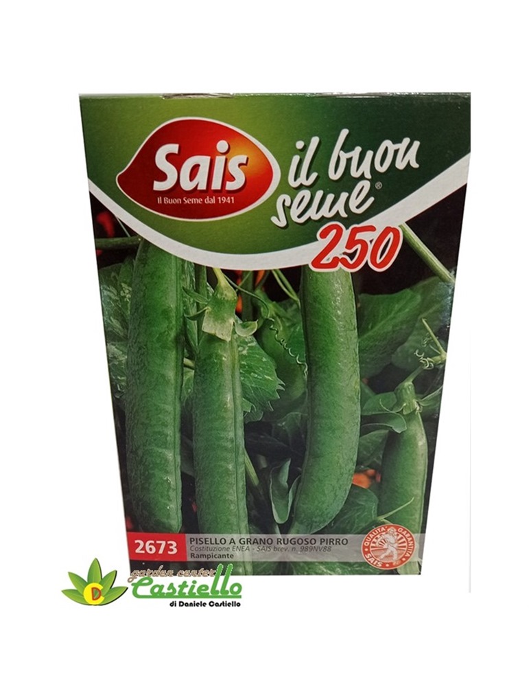 Pisello grano rugoso Pirro gr 250  Sais 2673
