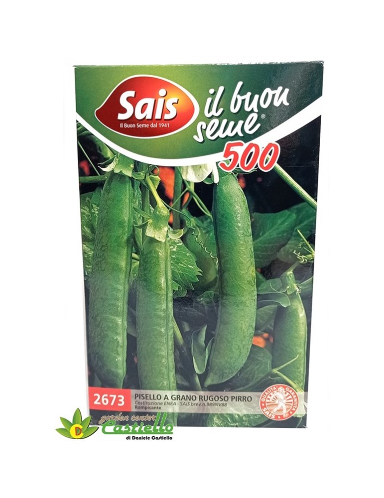 Pisello a grano rugoso Pirro rampicante gr 500 sais 2673