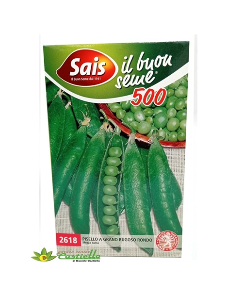 rondo 500