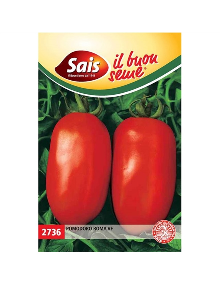 Pomodoro roma vf Pomodoro roma vf